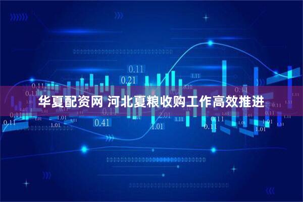 华夏配资网 河北夏粮收购工作高效推进