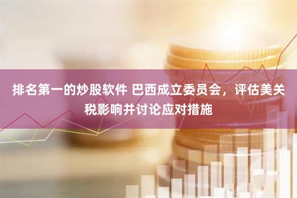 排名第一的炒股软件 巴西成立委员会，评估美关税影响并讨论应对措施