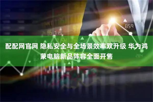 配配网官网 隐私安全与全场景效率双升级 华为鸿蒙电脑新品阵容全面开售