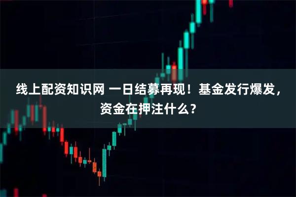 线上配资知识网 一日结募再现！基金发行爆发，资金在押注什么？